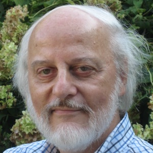 Paul Brutsche